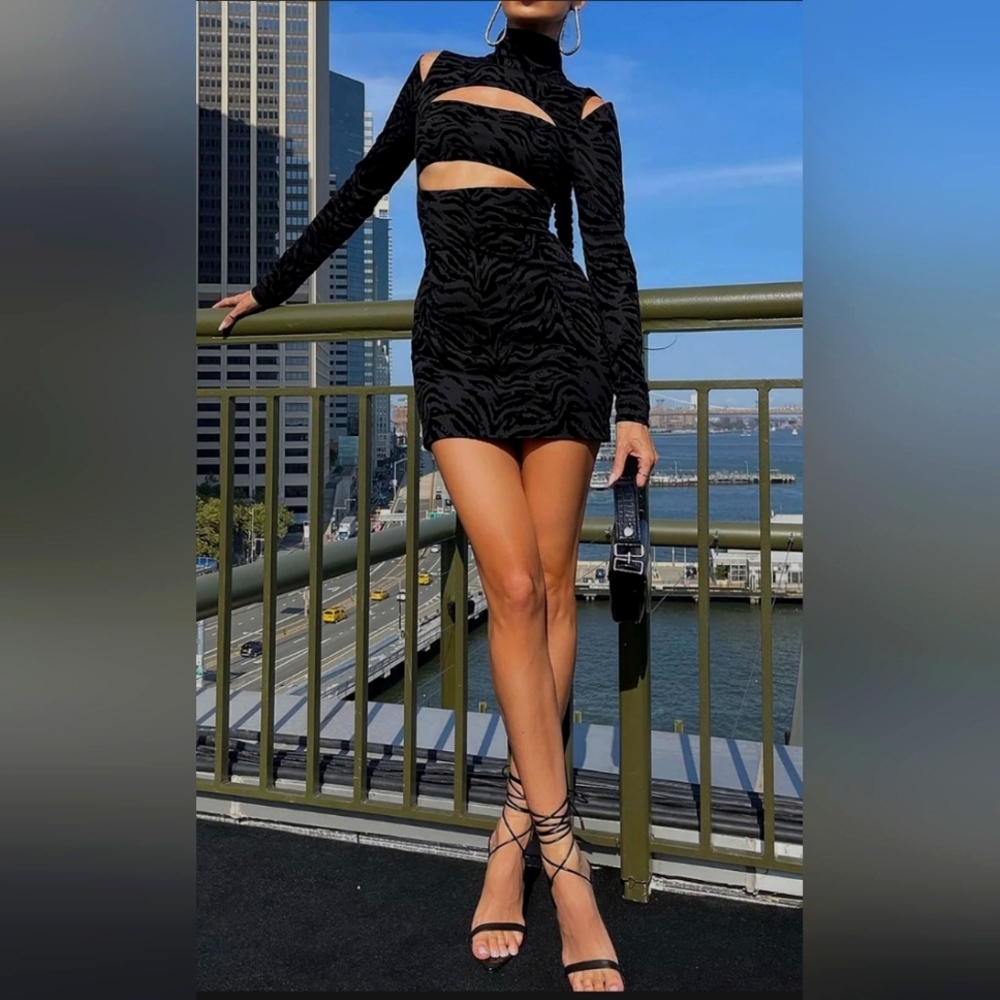Zebra Striped Turtle neck Hollow Out Long Sleeves Dress -Revolve